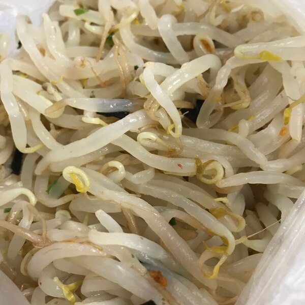 お茶漬けの素を使ったもやしの和え物 レシピ 作り方 By You花凛 楽天レシピ お茶漬けの素を使ったもやしの和え物 レシピ 作り方 By You花凛 楽天レシピ