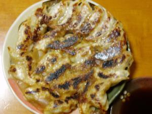 絶対おいしい！春キャベツのフレッシュ餃子