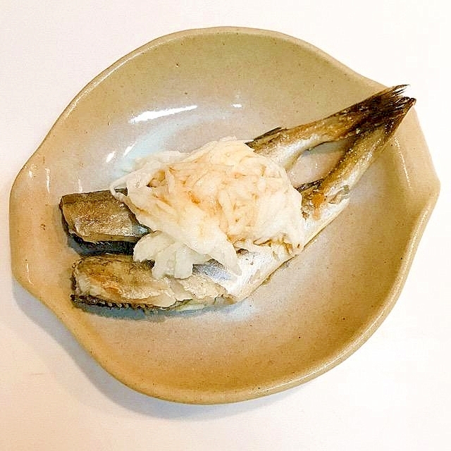 Fizlpj3kek Wm Fizlpj3kek Wm