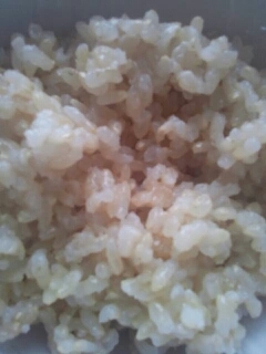 玄米好きです！
ありがとうございました。