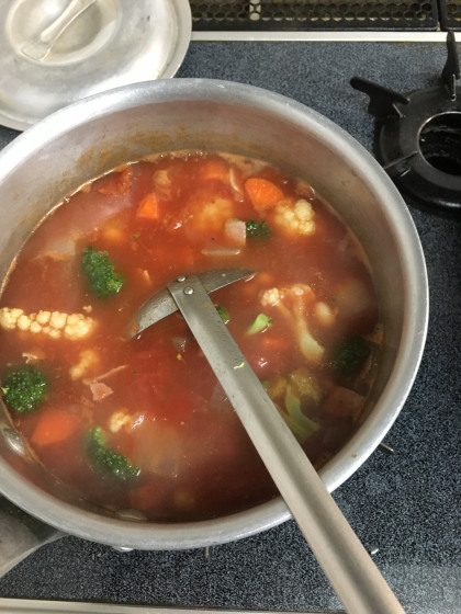残り野菜と大豆の水煮を使ってからだの温まるスープでした。野菜がたくさん食べれてよかったです。