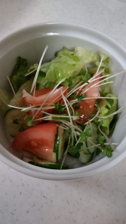スプラウト入りサラダ