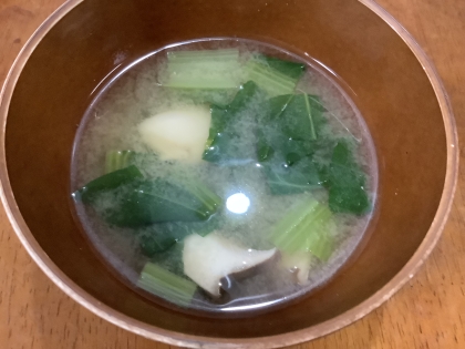 手抜きなのに野菜と海藻たっぷり★レンジで簡単味噌汁