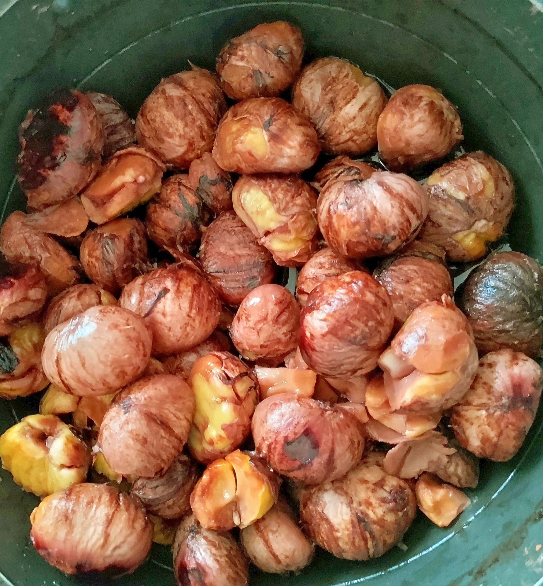 生栗の鬼皮＊重曹入りの水で茹でれば簡単にむけます☆