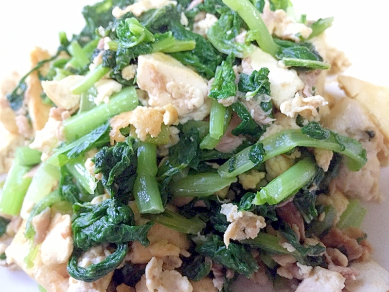 からし菜レシピ 作り方の人気順 簡単料理の楽天レシピ