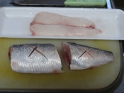 晩酌のお供 ニシン白子の一夜干し レシピ 作り方 By Startrek 楽天レシピ 晩酌のお供 ニシン白子の一夜干し レシピ 作り方 By Startrek 楽天レシピ