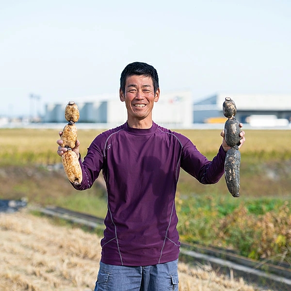 うんっま！！佐賀れんこん 2kg