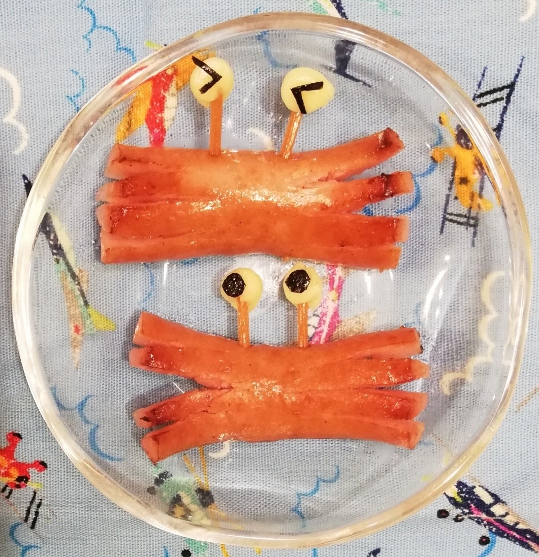 キャラ弁 カニさんウインナー レシピ 作り方 By Goma 楽天レシピ キャラ弁 カニさんウインナー レシピ 作り方 By Goma 楽天レシピ