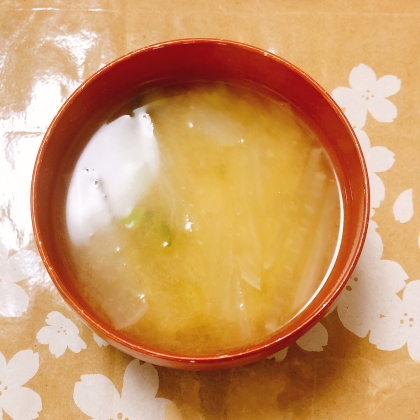 主人作☆白菜とねぎの味噌汁