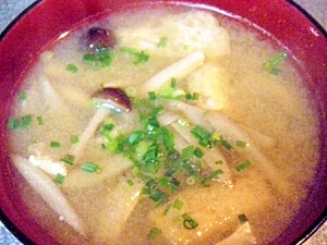 しめじとゴボウのお味噌汁 レシピ 作り方 By 寝虎太郎 楽天レシピ しめじとゴボウのお味噌汁 レシピ 作り方 By 寝虎太郎 楽天レシピ