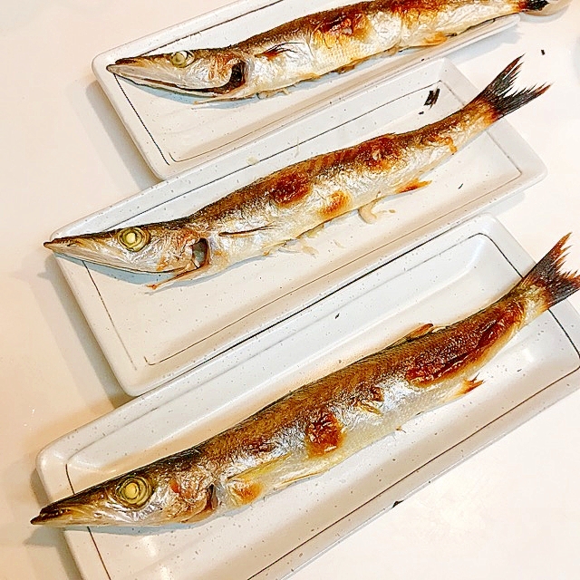 カマスの塩焼き 絶品です レシピ 作り方 By だだちゃまめごはん 楽天レシピ カマスの塩焼き 絶品です レシピ 作り方 By だだちゃまめごはん 楽天レシピ