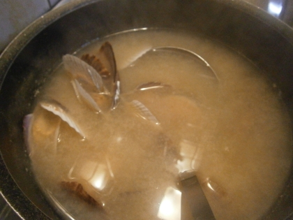 ホタテ稚貝のお味噌汁 ホタテだけど稚貝なら節約 レシピ 作り方 By ぼーずの母ちゃん 楽天レシピ