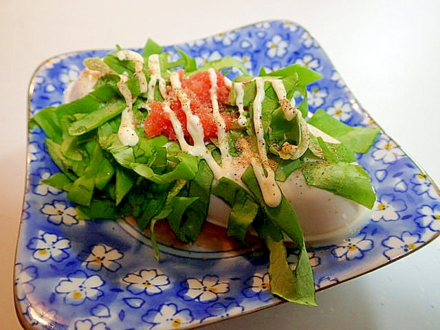 つゆ/マヨ/魚粉で　サラダ菜と辛子明太子の冷奴