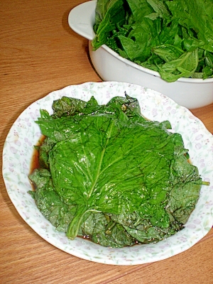 すべての花の画像 ロイヤリティフリーシソの葉 料理