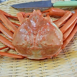 かにのレシピ 作り方 簡単人気ランキング 楽天レシピ かにのレシピ 作り方 簡単人気ランキング 楽天レシピ