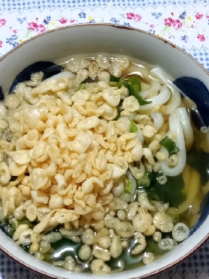 シンプル♪我が家の“たぬきうどん”