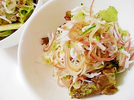 しらすと大根ときゅうりと茗荷のサラダ レシピ 作り方 By V るん 0394 楽天レシピ しらすと大根ときゅうりと茗荷のサラダ レシピ 作り方 By V るん 0394 楽天レシピ