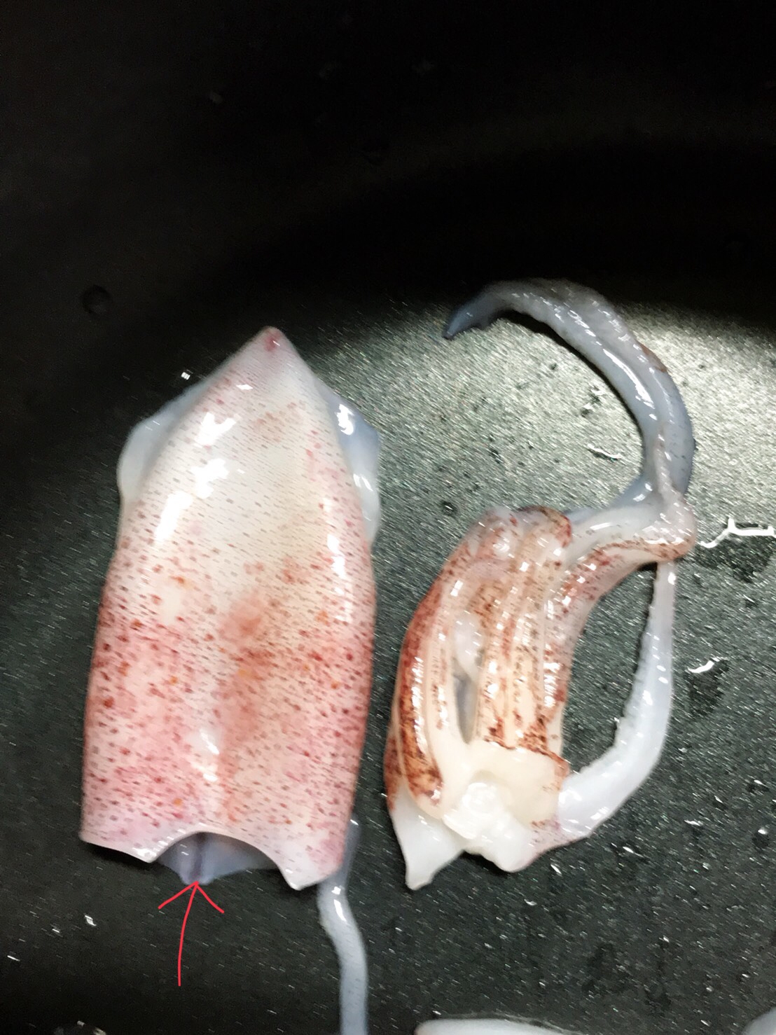 ヒイカの下処理 レシピ 作り方 By Alphaman777 楽天レシピ ヒイカの下処理 レシピ 作り方 By Alphaman777 楽天レシピ