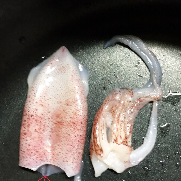 ヒイカの下処理 レシピ 作り方 By Alphaman777 楽天レシピ ヒイカの下処理 レシピ 作り方 By Alphaman777 楽天レシピ