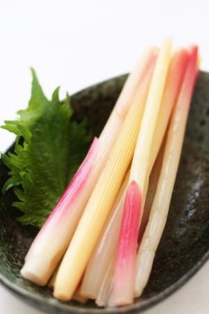 みょうが竹レシピ 作り方の人気順 簡単料理の楽天レシピ