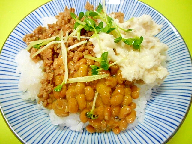 山芋納豆そぼろ丼