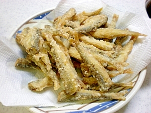 Crrzhqaddkdxqm Crrzhqaddkdxqm