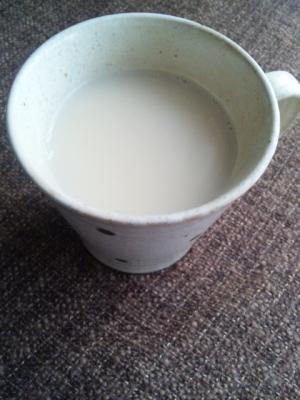 練豆乳☆緑茶