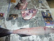 タラのあら汁 レシピ 作り方 By Tententen48 楽天レシピ タラのあら汁 レシピ 作り方 By Tententen48 楽天レシピ