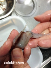 一手間で絶品 生ホタルイカの下処理 レシピ 作り方 By Colokitchen 楽天レシピ 一手間で絶品 生ホタルイカの下処理 レシピ 作り方 By Colokitchen 楽天レシピ