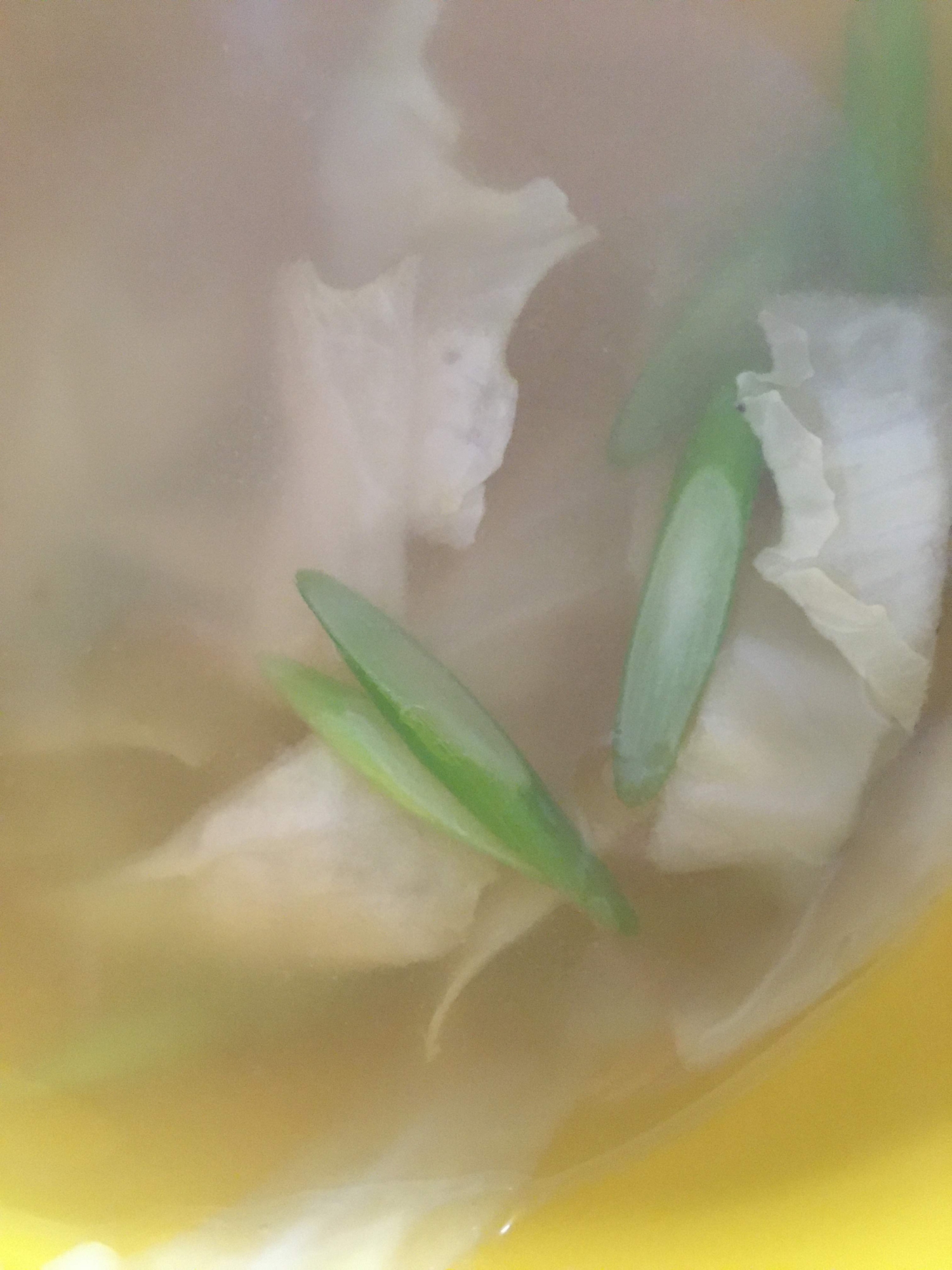 キャベツとにんにくの芽の味噌汁
