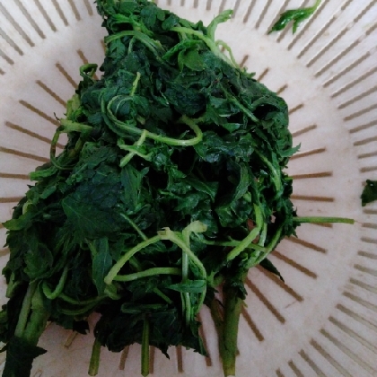 よもぎの冷凍保存