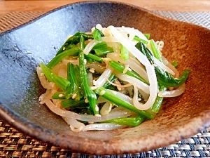 ダシダで簡単 ほうれん草ともやしのナムル レシピ 作り方 By Kouaya2319 楽天レシピ ダシダで簡単 ほうれん草ともやしのナムル レシピ 作り方 By Kouaya2319 楽天レシピ