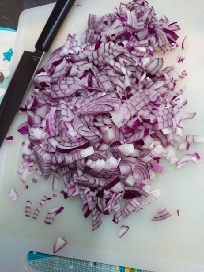紫玉ねぎが沢山あったので使いました。美味しくいただきました♪