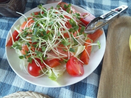 いつものサラダにあきたのでたまには違うのを！
トマトをミニトマトにして作ってみました！