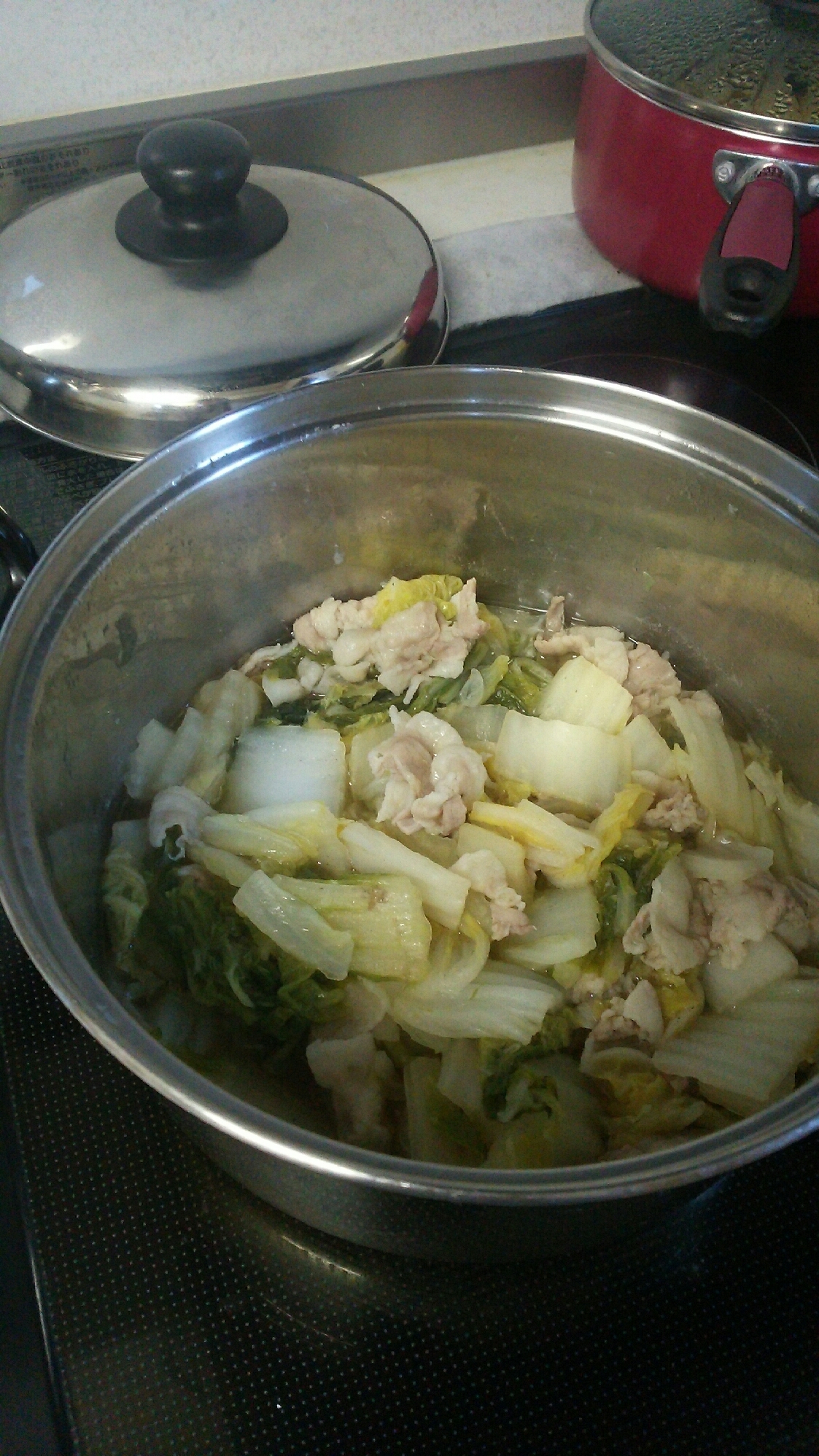 豚バラ肉と白菜の簡単煮
