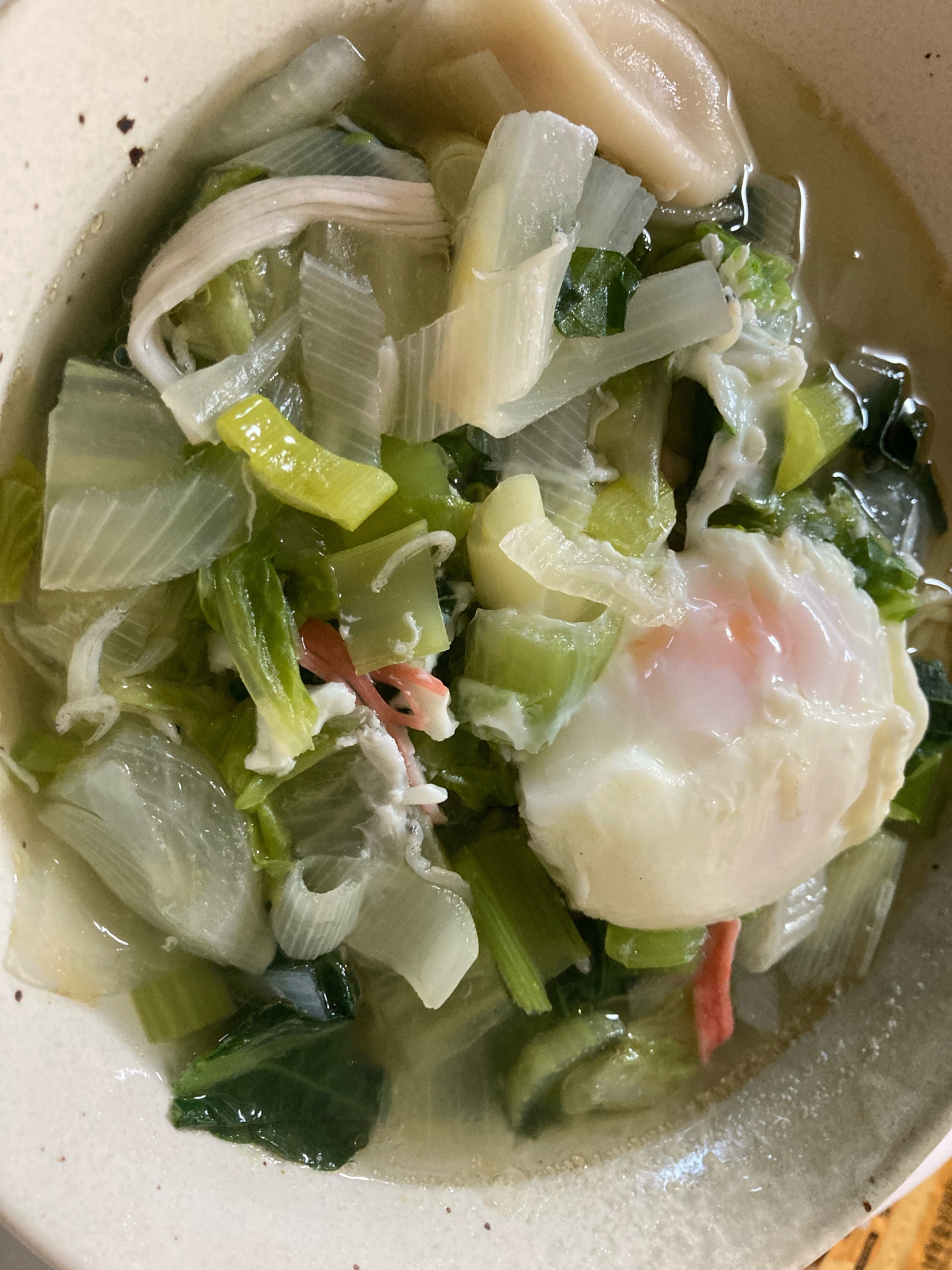 玉ねぎとネギと水餃子ラーメン