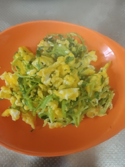 豆苗と卵のオイスターソース炒め