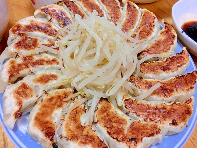 話題沸騰　浜松餃子の王道スタイル