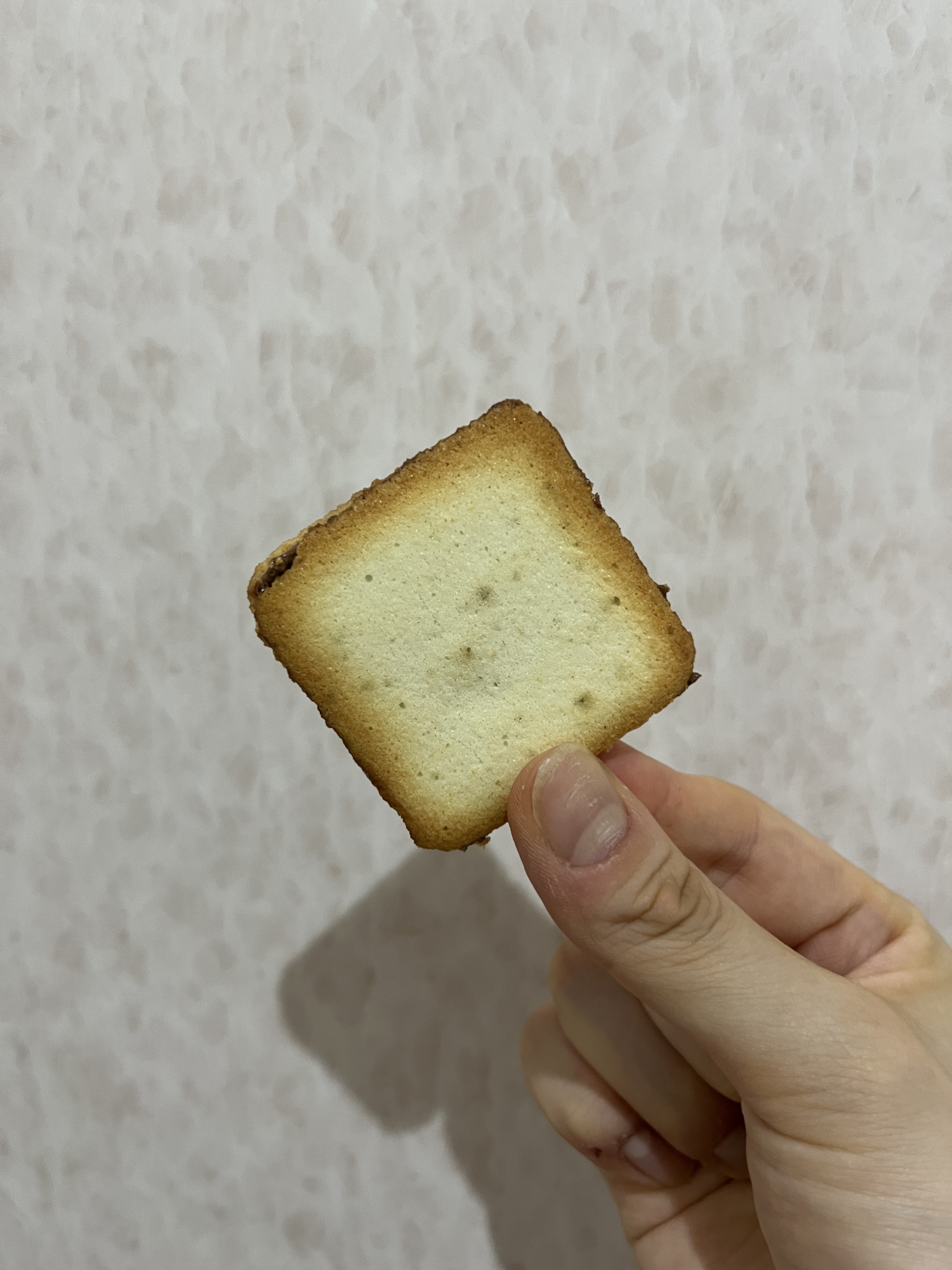 サクサク！ラングドシャクッキー