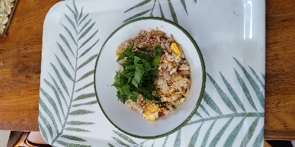 大葉梅じゃこ炒飯✿