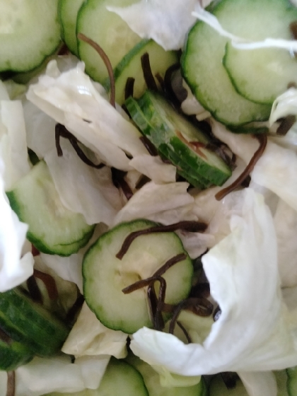 塩昆布で簡単！ごま油香るきゅうりとキャベツの漬け物