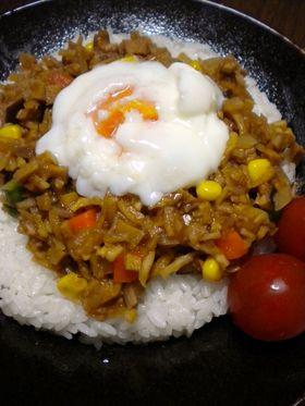 ドライドライカレー【高野豆腐&切干大根】