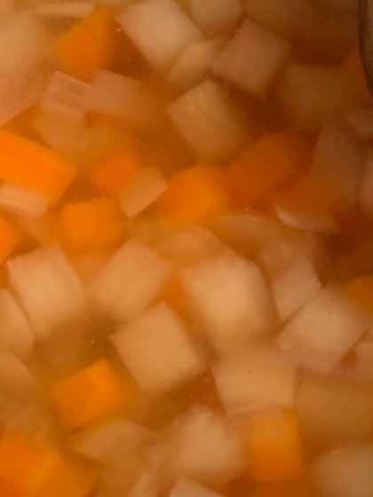 いつもある野菜で簡単に一品できました。
根菜類の甘みと塩気、コンソメの風味がよく合います。
おいしくいただきました。
