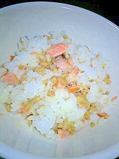 離乳食☆焼き鮭と納豆のお粥