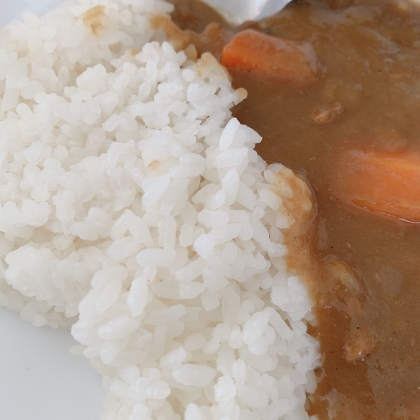 カレーライス