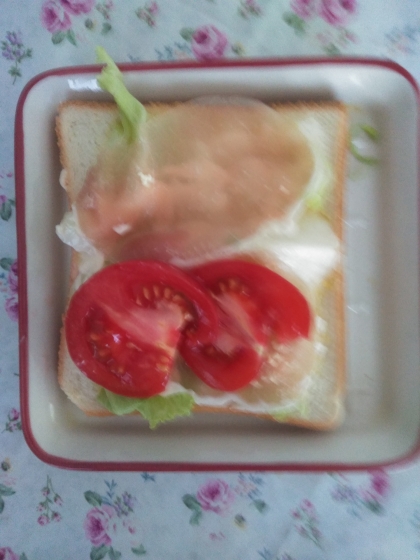 ハムレタス♪ソフトパンサンド