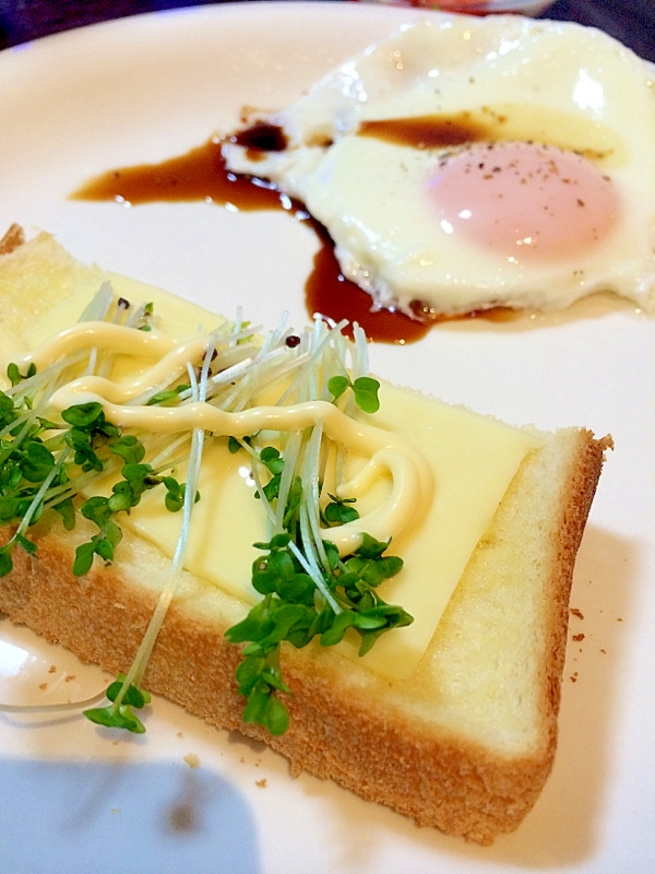 スプラウトチーズトーストと目玉焼きのモーニング