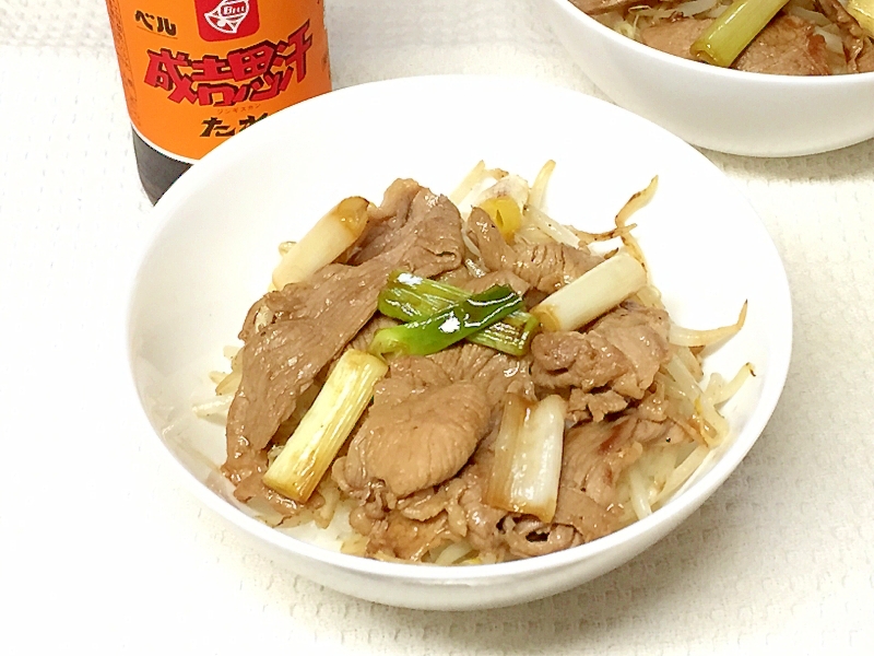 ジンギスカンのタレで♪　ミニラム丼♪