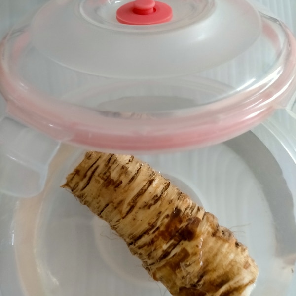 山わさび ホースラディッシュ の冷蔵保存方法 レシピ 作り方 By Piyo Piyo 楽天レシピ 山わさび ホースラディッシュ の冷蔵保存方法 レシピ 作り方 By Piyo Piyo 楽天レシピ