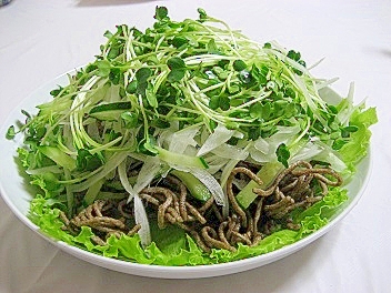 簡単！揚げ蕎麦のカリカリサラダ